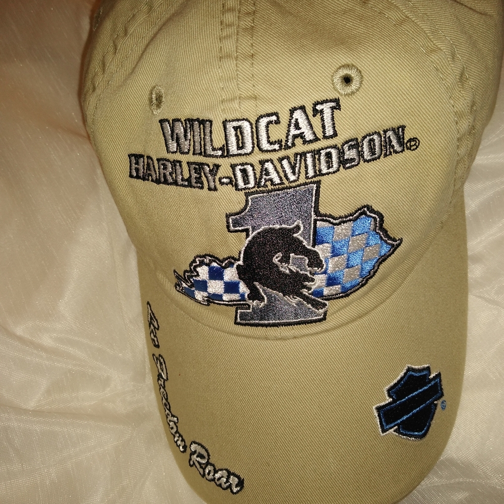Harley Davidson Wildcat Baseball Cap